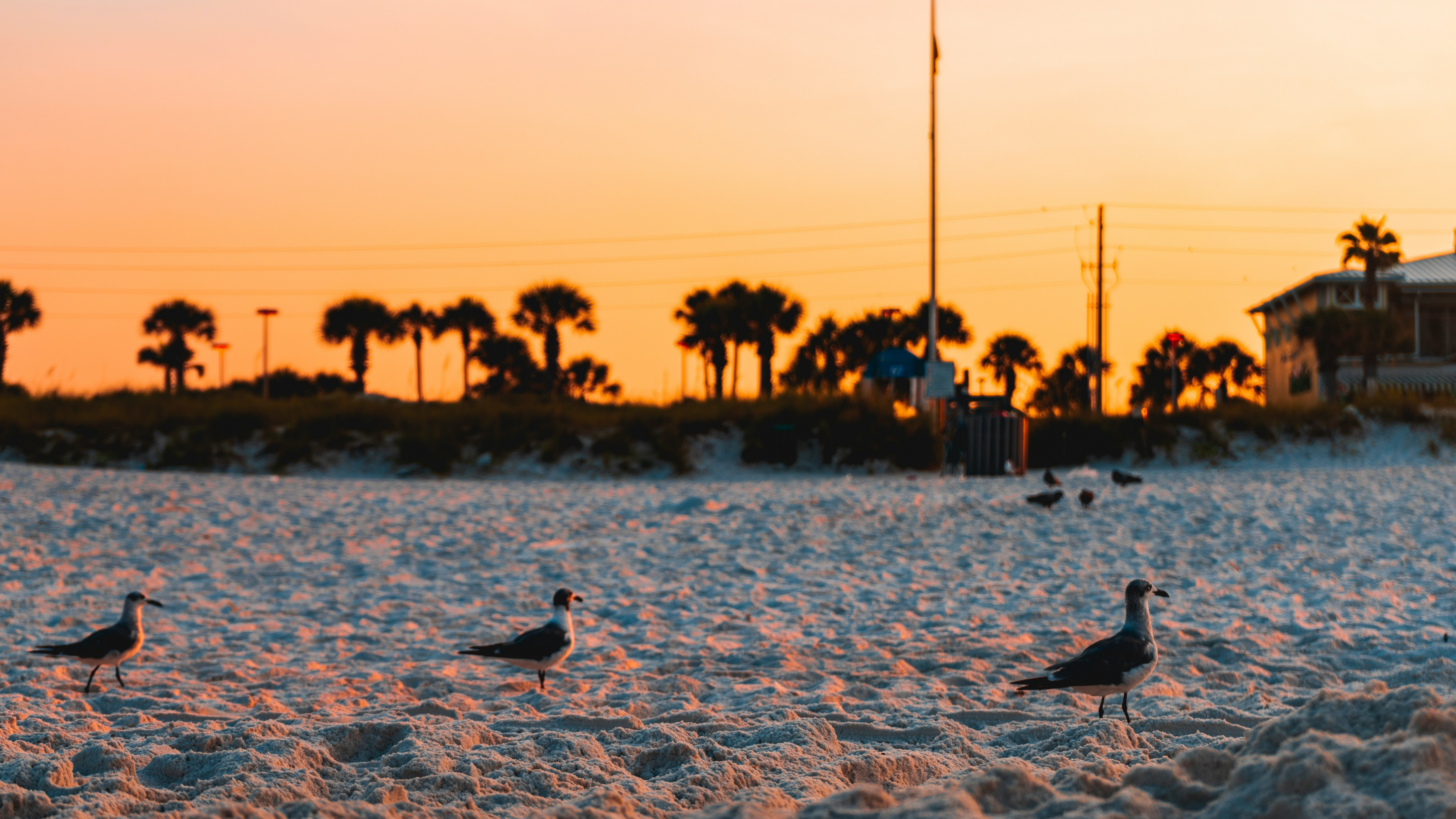 Thing To Do Palm Coast